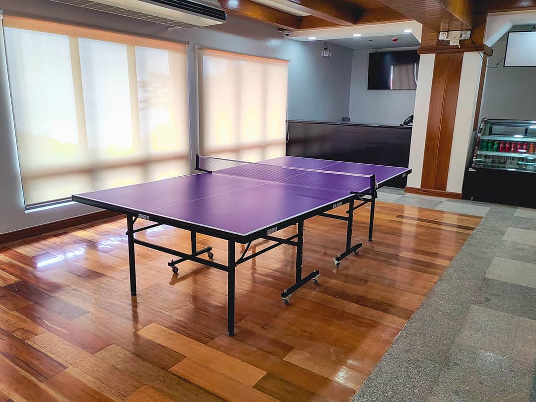 billiards-table-tennis-5